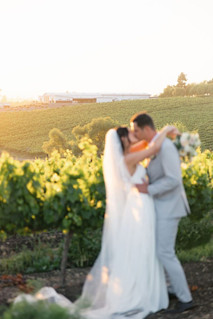Laura and Ryan at sunset in the vineyard at Greengate Ranch & Vineyard